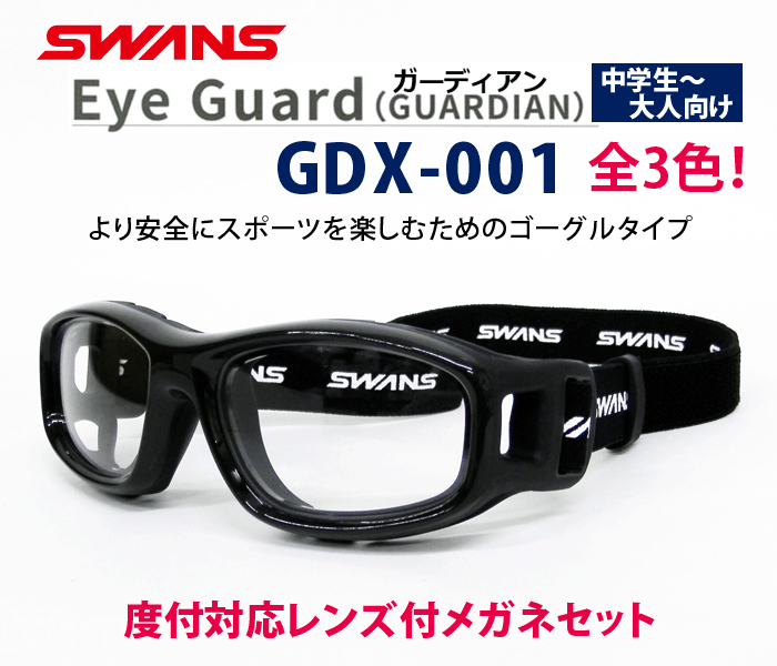 SWANS EyeGuard GUARDIAN（スワンズアイガードガーディアン）GDX-001 